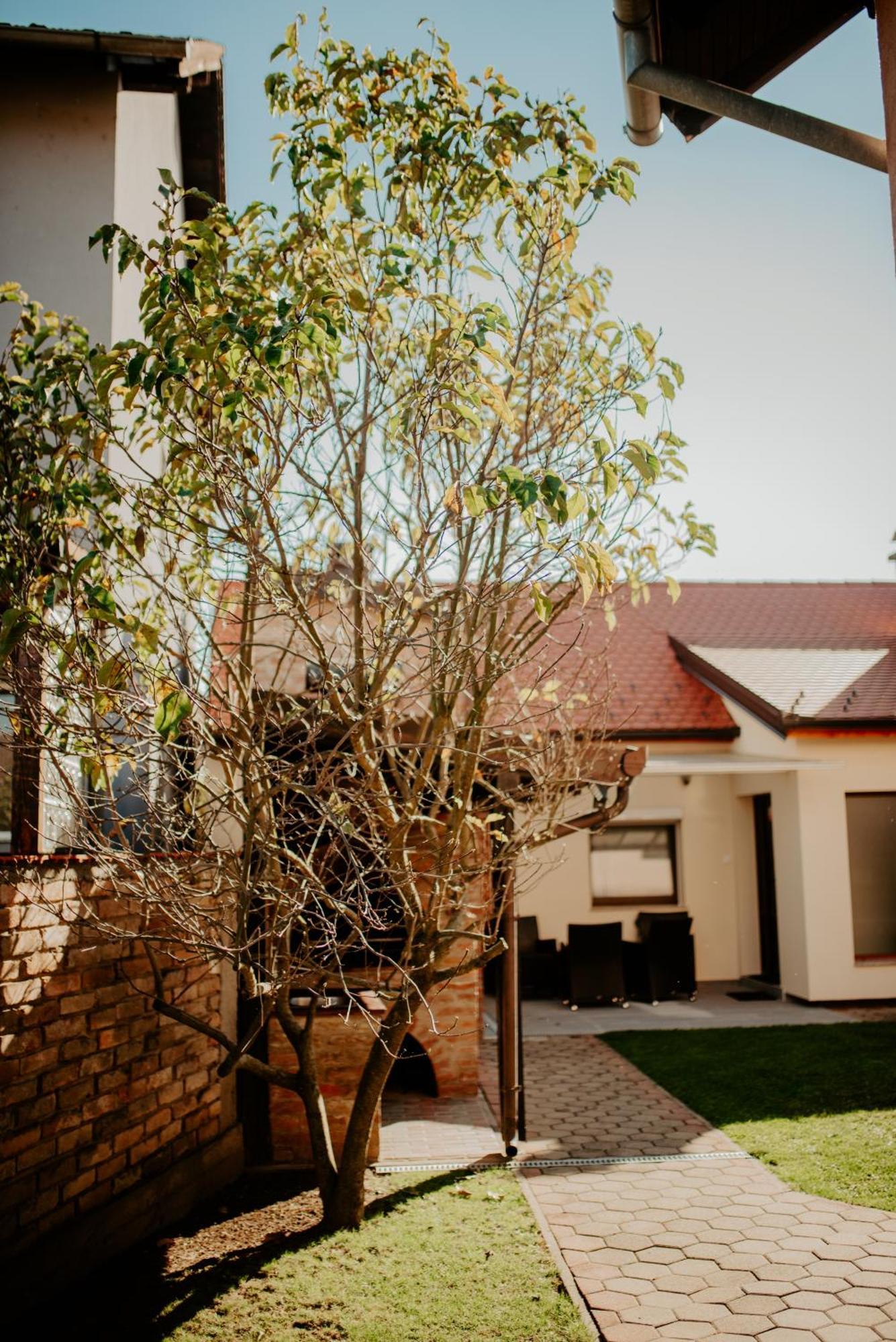 Apartments Peric - Zupanja Exterior photo